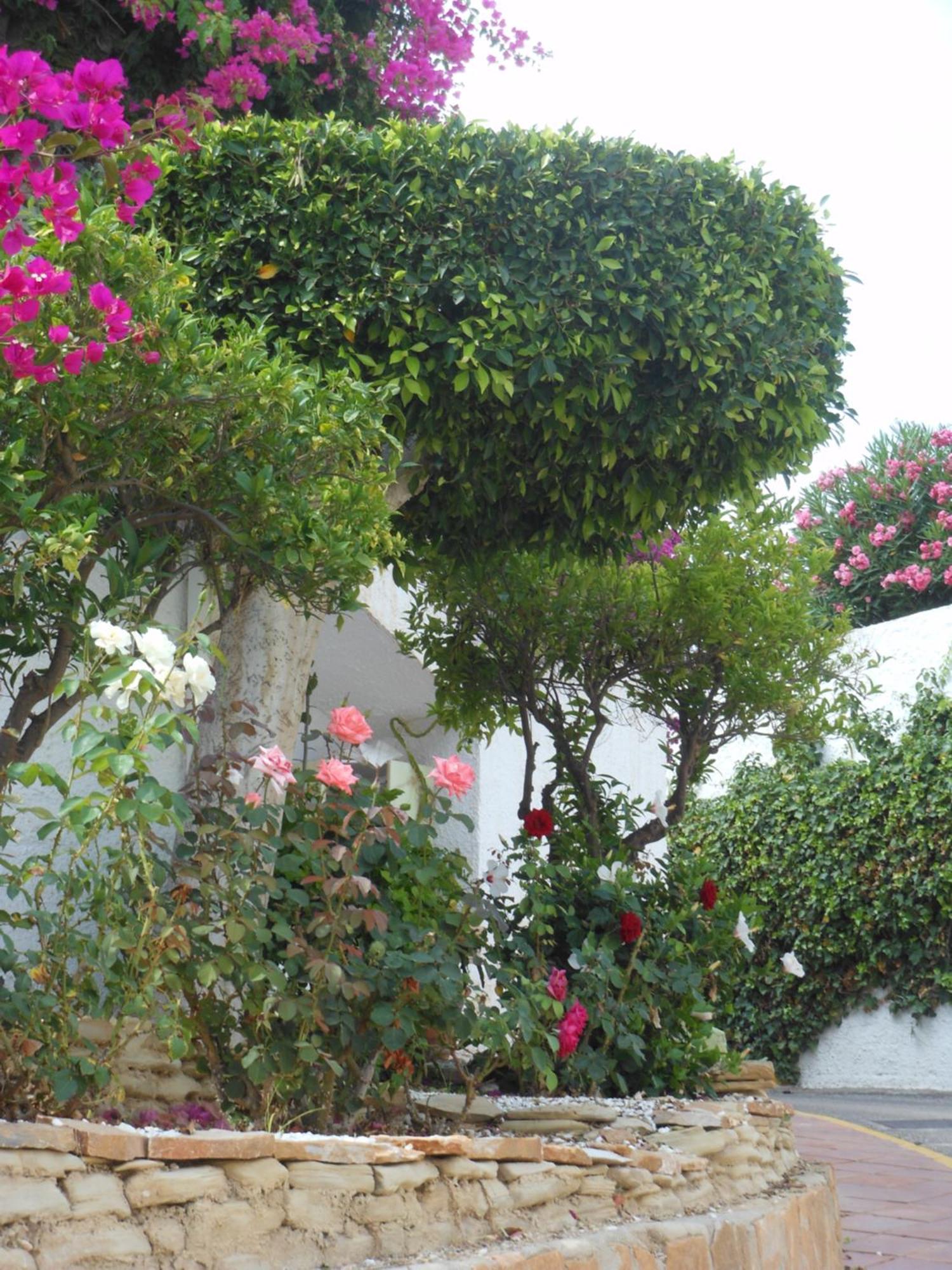 Apartment Palmeras Del Cantal *